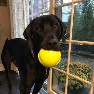 Meet your Posher, Gail